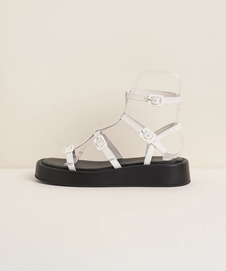 Sale Pika In Latte Women Sandals