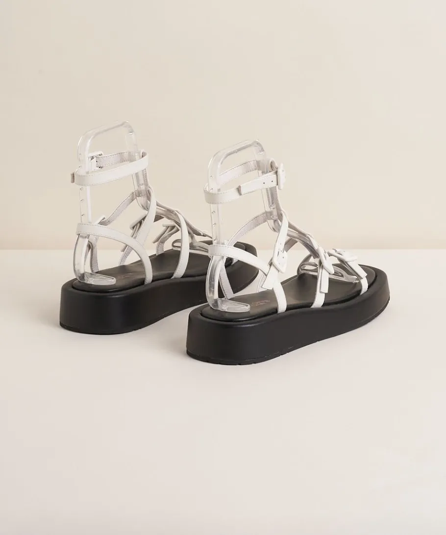 Sale Pika In Latte Women Sandals